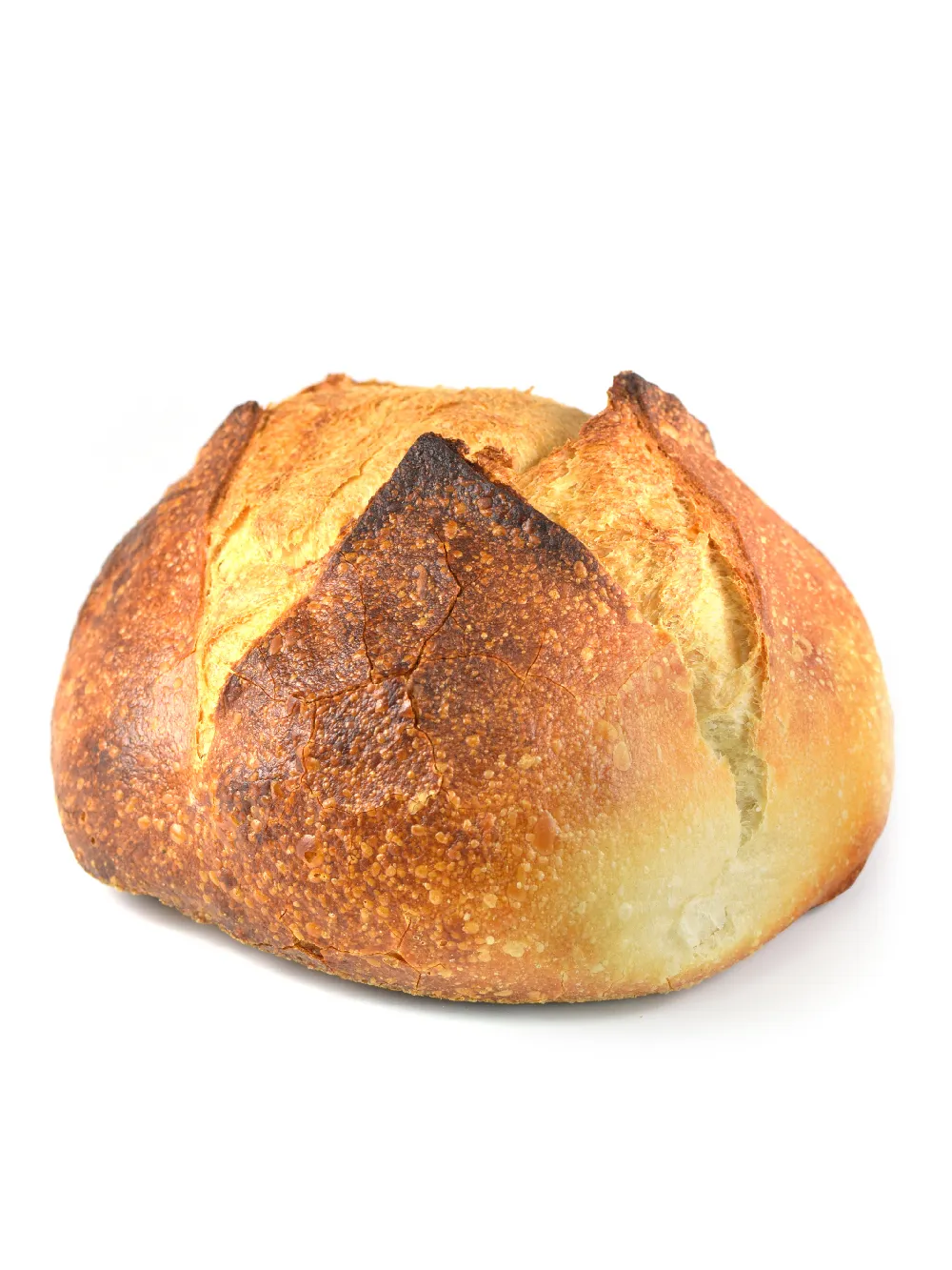 Boule Tradition